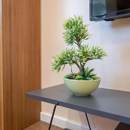 Modern City Center New Bazaar Apartment